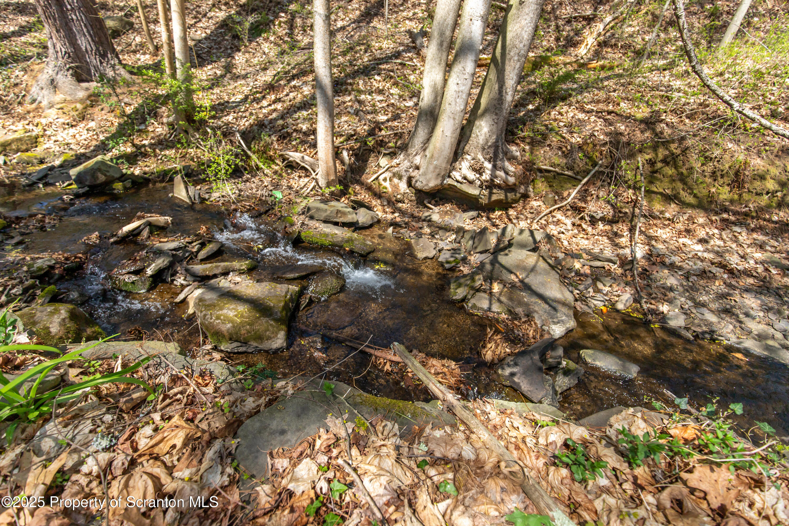 675 Apple Tree Road Pittston, PA 18643 - Photo 40 of 46 creek