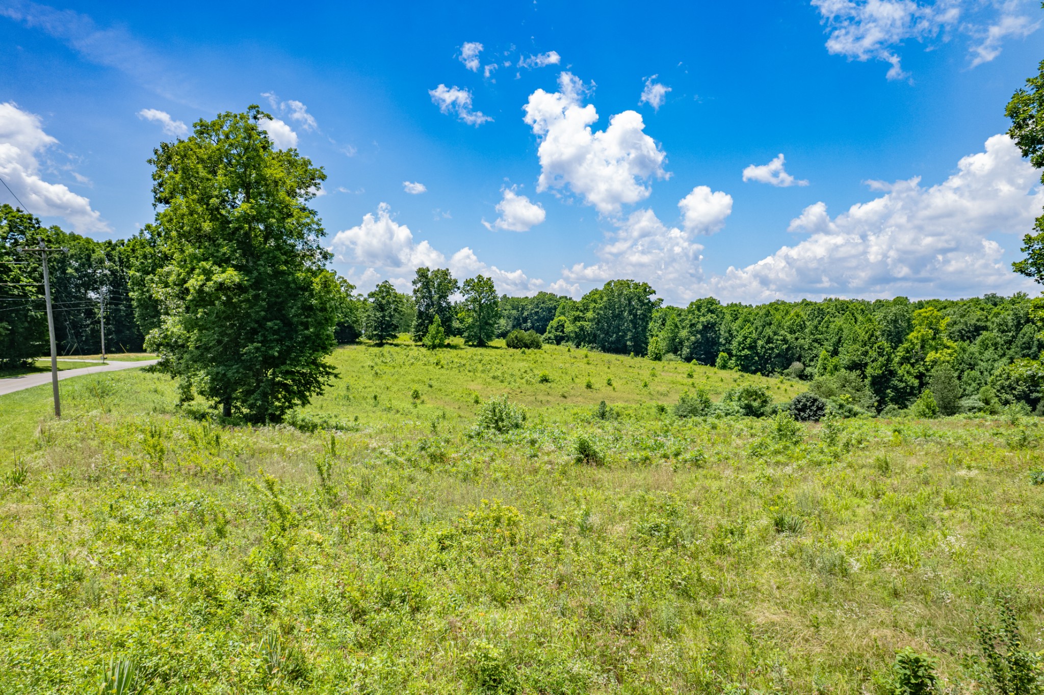 0 Mobley Ridge Road Duck River, TN 38454 - Photo 34 of 35 a view of a yard with an tree