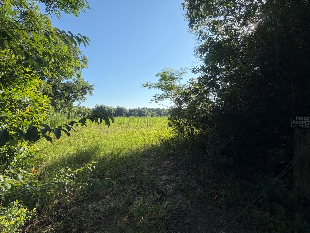 1 Nichols Road Pinckard, AL 36350 - Photo 8 of 29