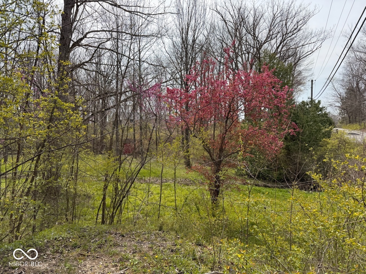 7971 Conarroe Road Indianapolis, IN 46278 - Photo 6 of 49 Gallery Image 6
