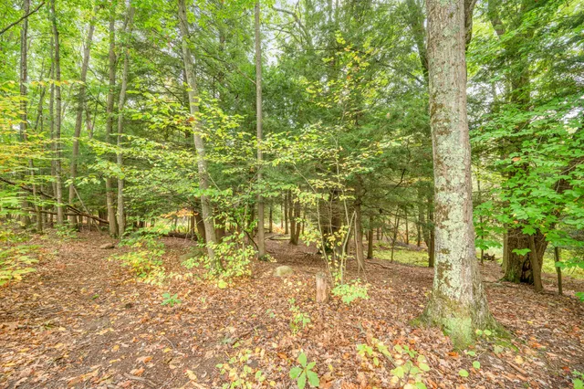 $149,900 | Lot 37 Birch Drive, White Cloud, MI 49349