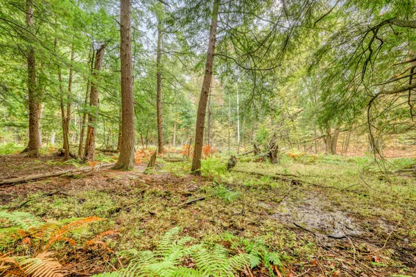 $149,900 | Lot 37 Birch Drive, White Cloud, MI 49349