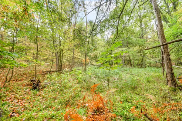 $149,900 | Lot 37 Birch Drive, White Cloud, MI 49349