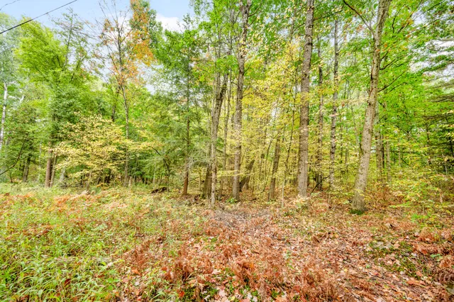 $149,900 | Lot 37 Birch Drive, White Cloud, MI 49349