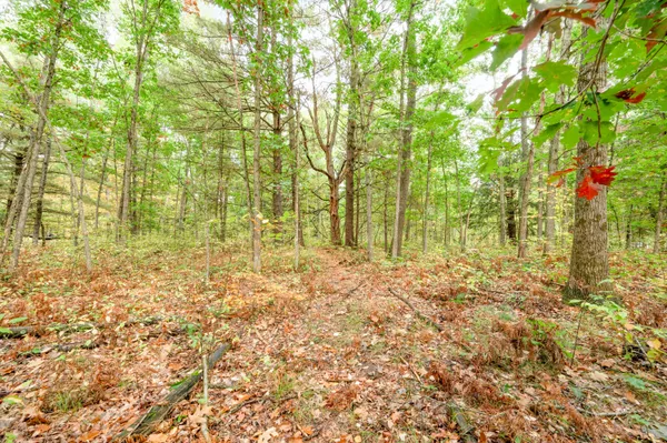 $149,900 | Lot 37 Birch Drive, White Cloud, MI 49349