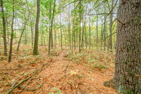 $149,900 | Lot 37 Birch Drive, White Cloud, MI 49349