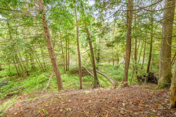$149,900 | Lot 37 Birch Drive, White Cloud, MI 49349