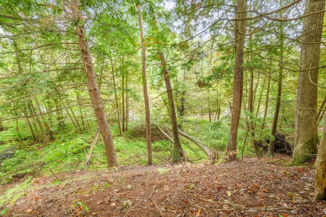 $149,900 | Lot 37 Birch Drive, White Cloud, MI 49349
