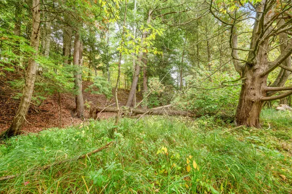 $149,900 | Lot 37 Birch Drive, White Cloud, MI 49349