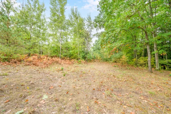$149,900 | Lot 37 Birch Drive, White Cloud, MI 49349