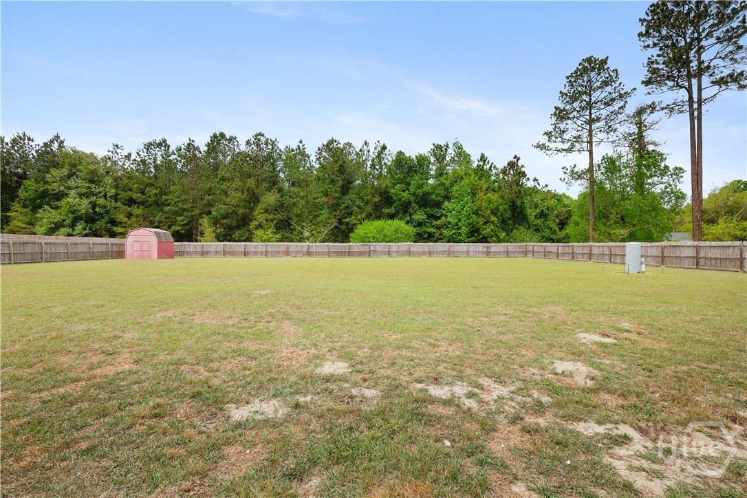 435 Poole Road Ludowici, GA 31316 - Photo 20 of 20