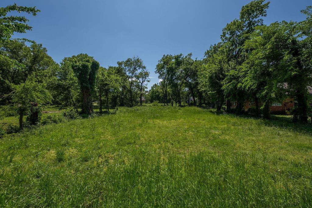 a view of a grassy field with trees