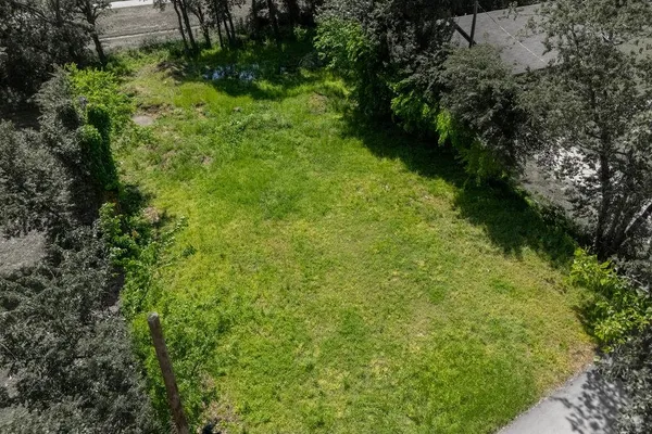 a view of a street with a tree