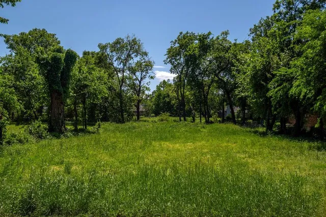 a view of backyard with green space
