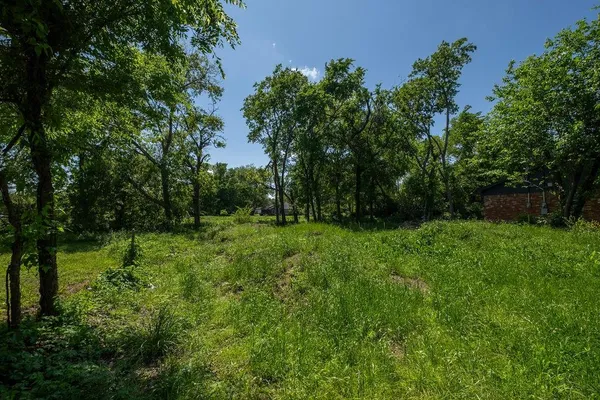 a view of a grassy field with trees in the background