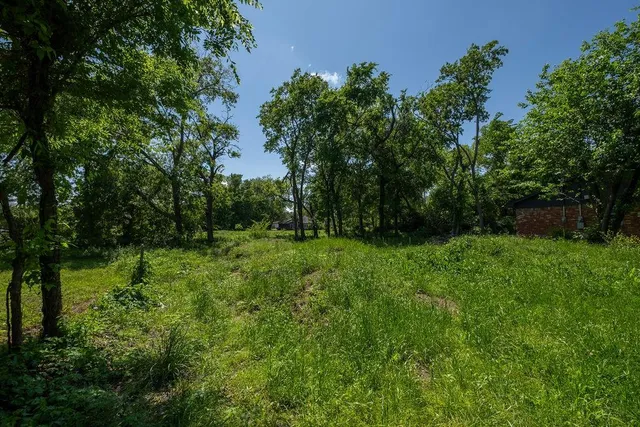 a view of a grassy field with trees in the background