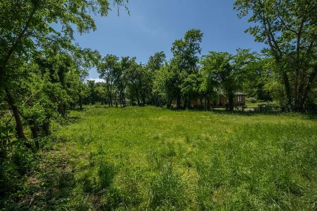 a view of a field with trees in the background
