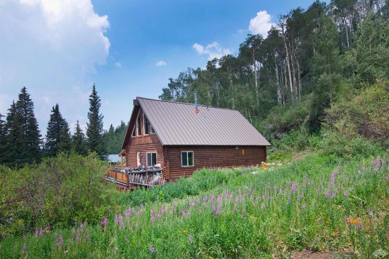 320 Mill Road Eagle, CO 81631 - Photo 17 of 24 a view of a house with a big yard plants and large trees