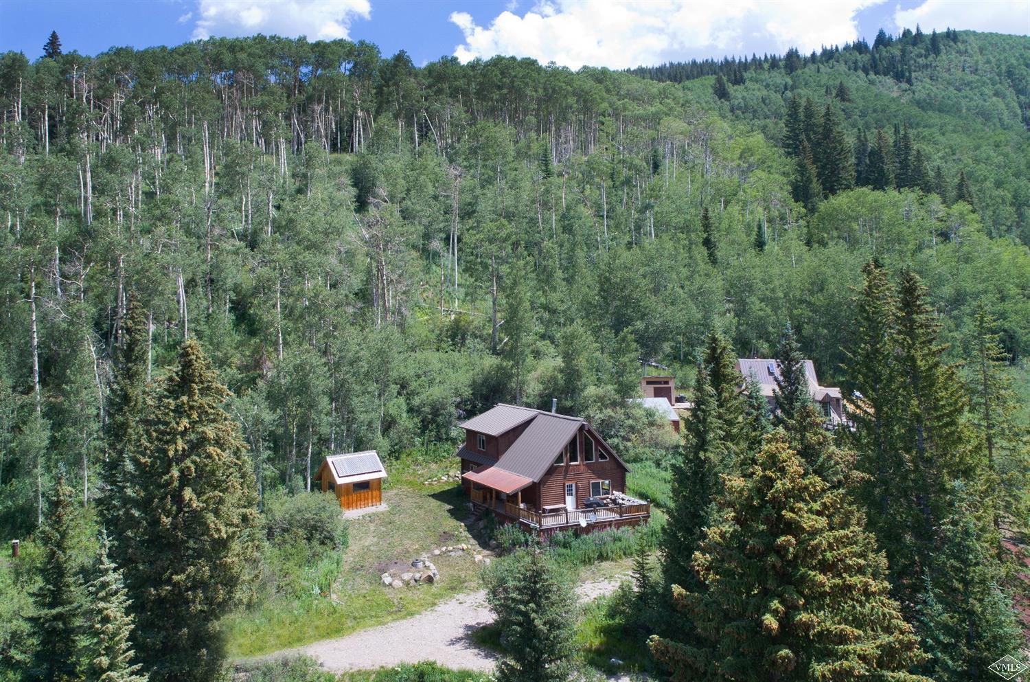 320 Mill Road Eagle, CO 81631 - Photo 22 of 24 a view of a lush green forest with a house