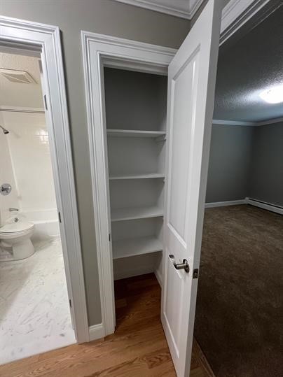 395 Mendon Road North Smithfield, RI 02896 - Photo 10 of 17 linen closet
