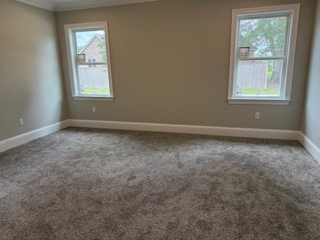 53361 Caitlyns Way Loranger, LA 70446 - Photo 10 of 14