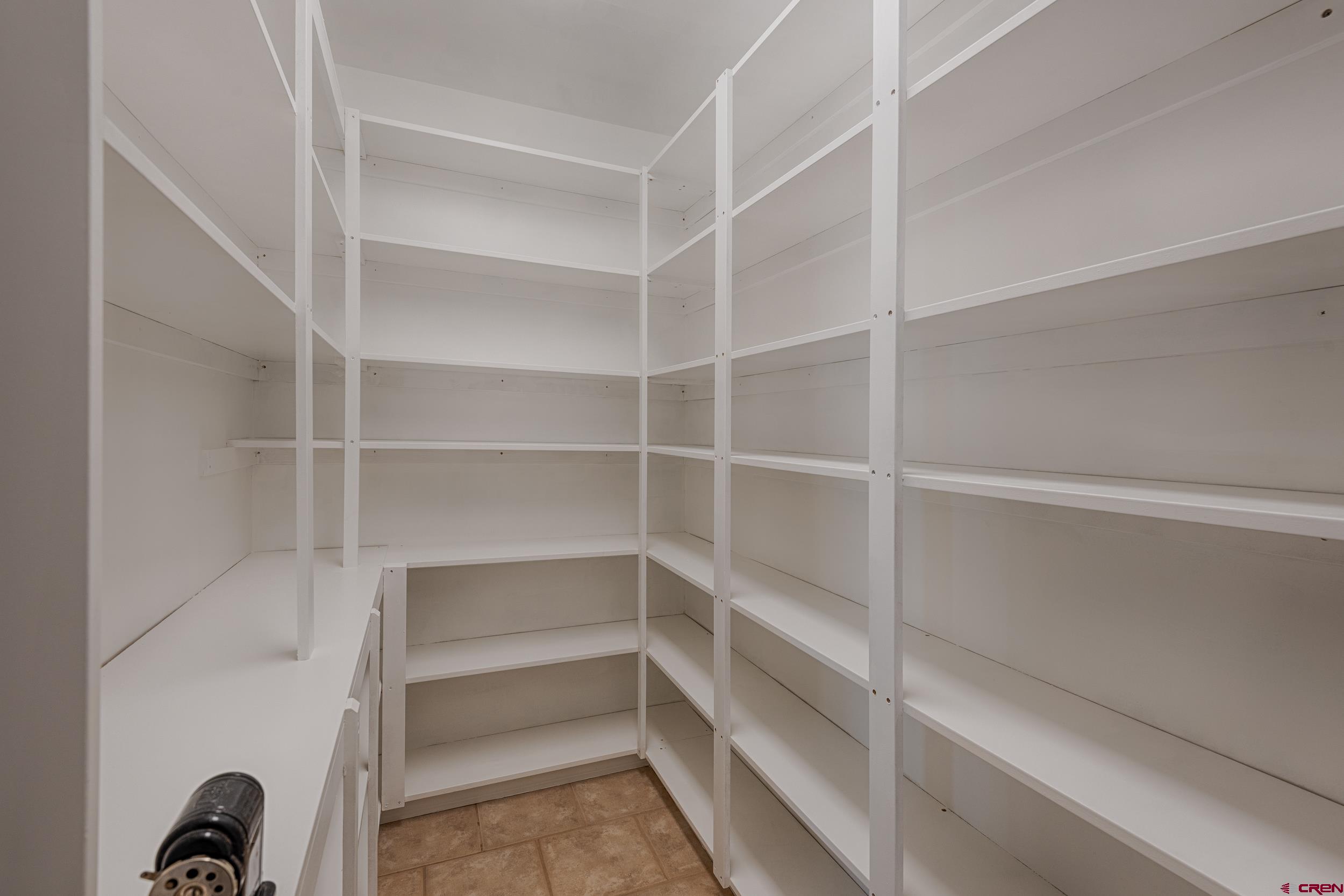 711 Terrace Drive Ridgway, CO 81432 - Photo 10 of 32 a view of walk in closet with empty racks