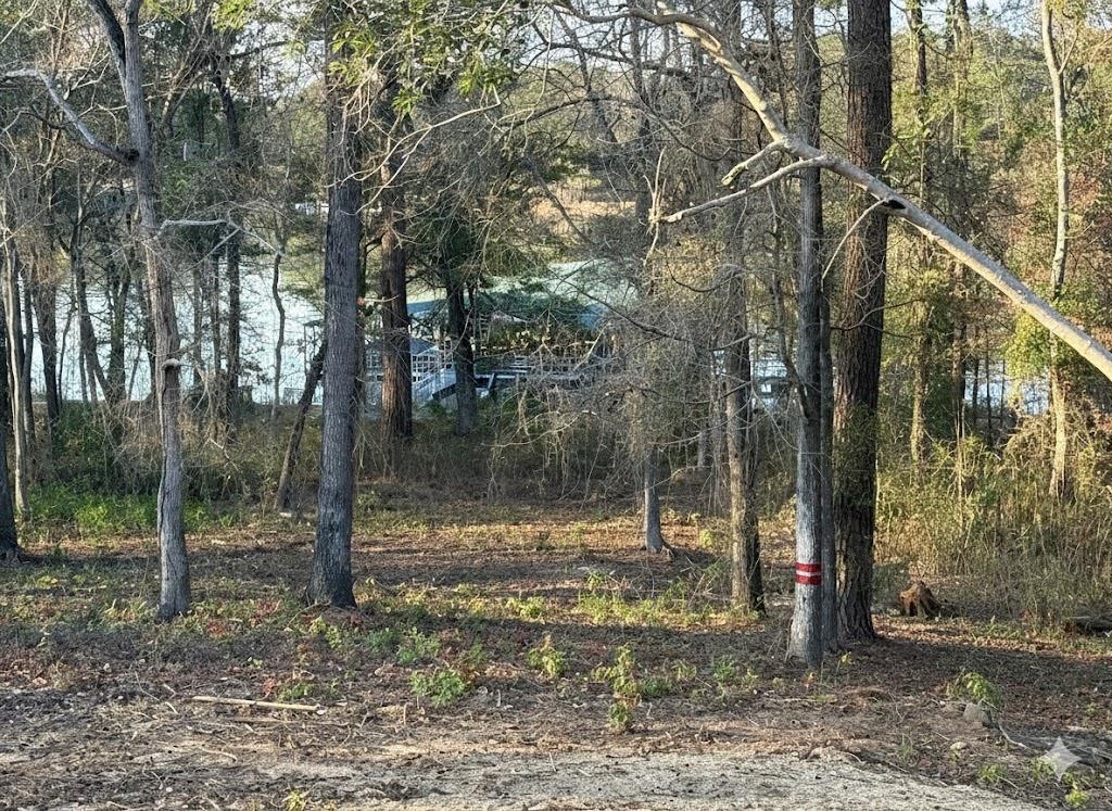 25 Memory Lane Eufaula, AL 36027 - Photo 12 of 12