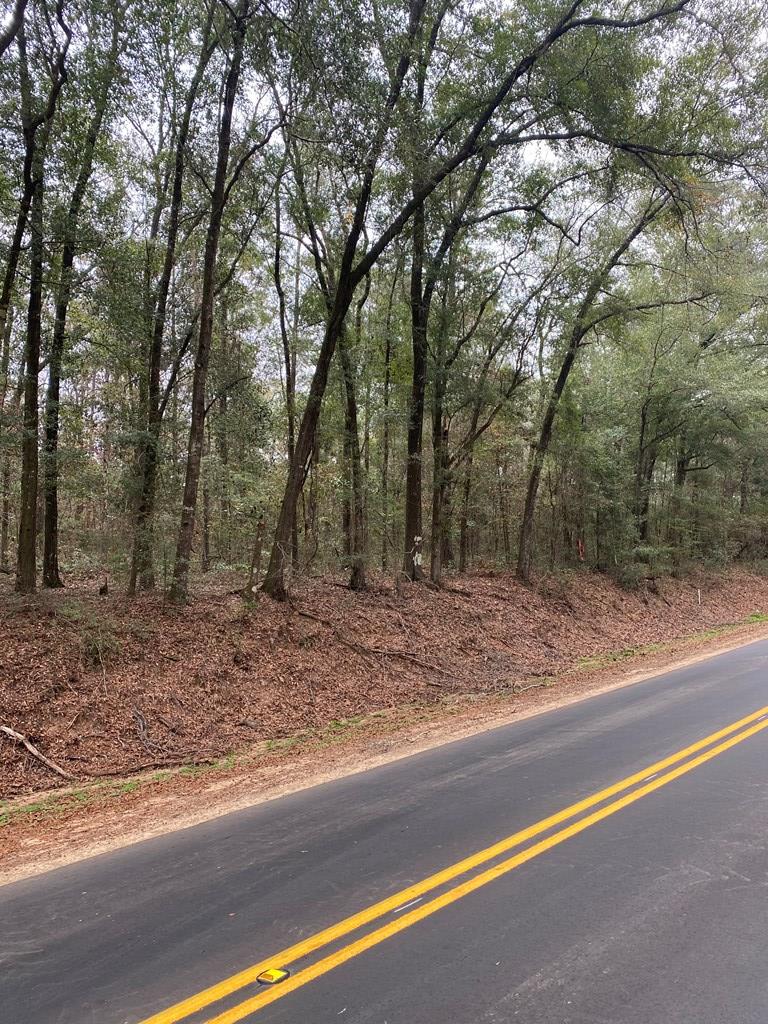 Lot 5 Suggs Road Cowarts, AL 36321 - Photo 2 of 3