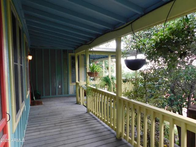 a bunch of flowers in a garden