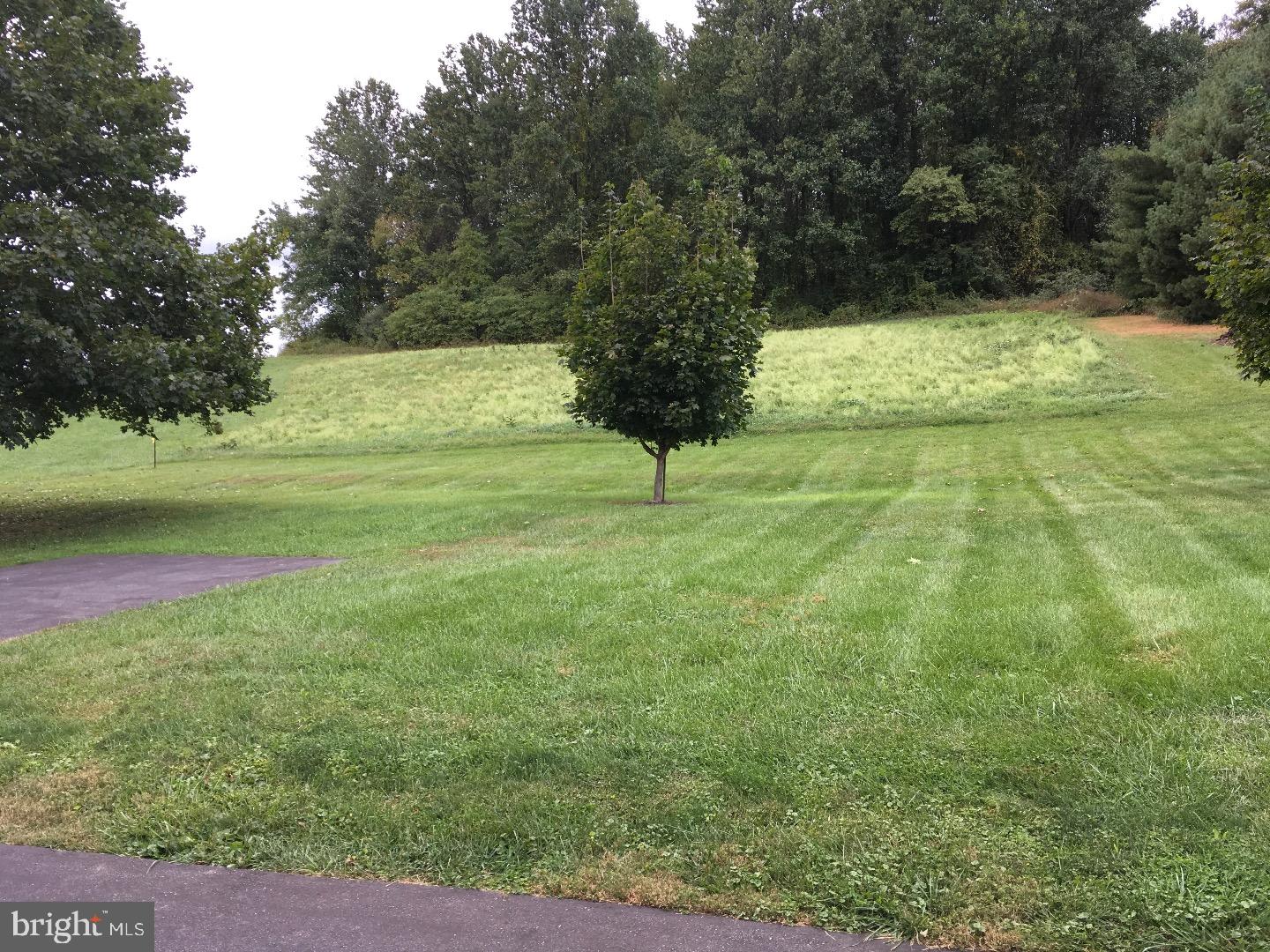 683 North Manor Road Elverson, PA 19520 - Photo 4 of 16