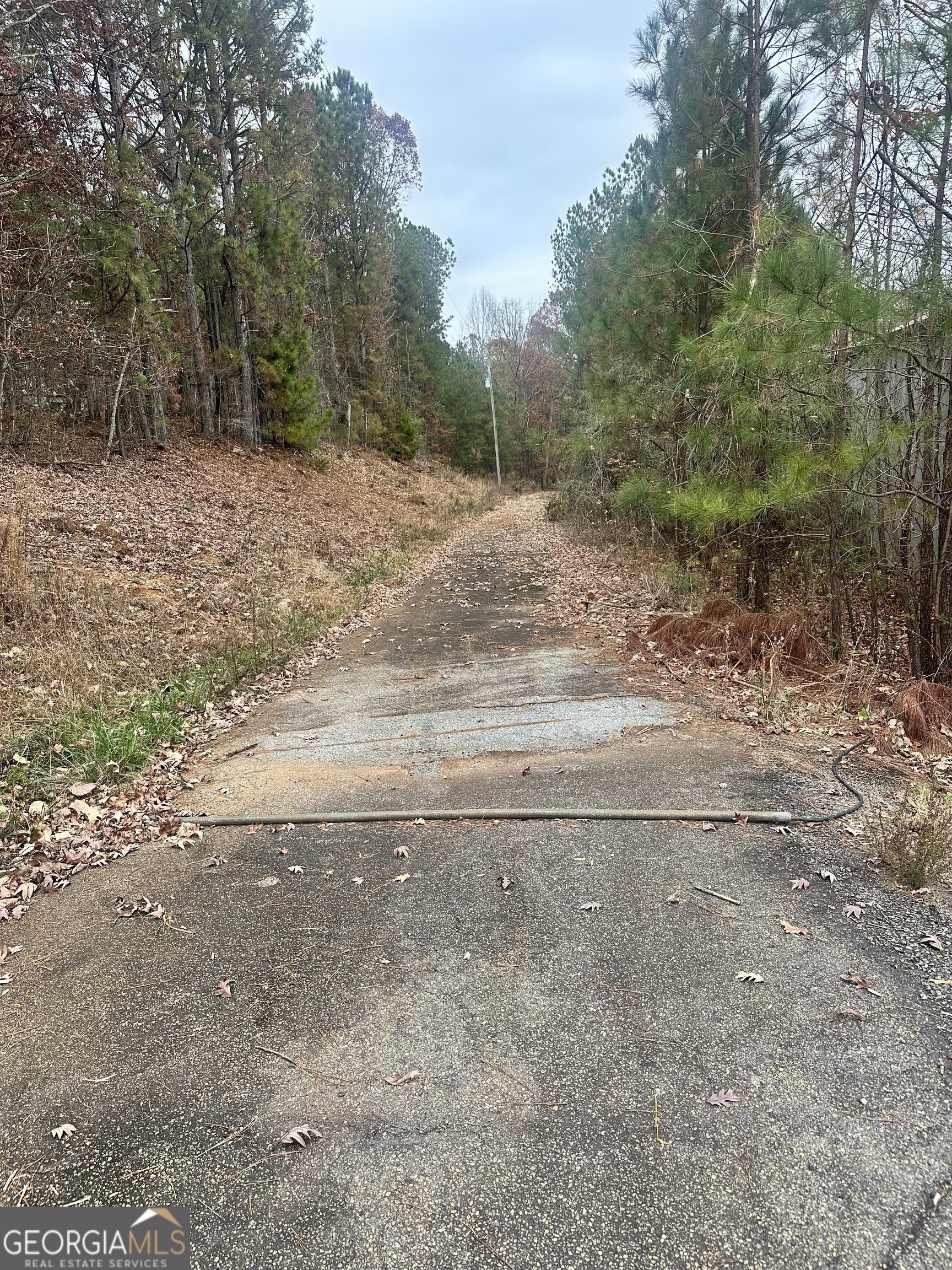 4947 Cash Road Flowery Branch, GA 30542 - Photo 4 of 8 a view of a dirt road with trees in the background