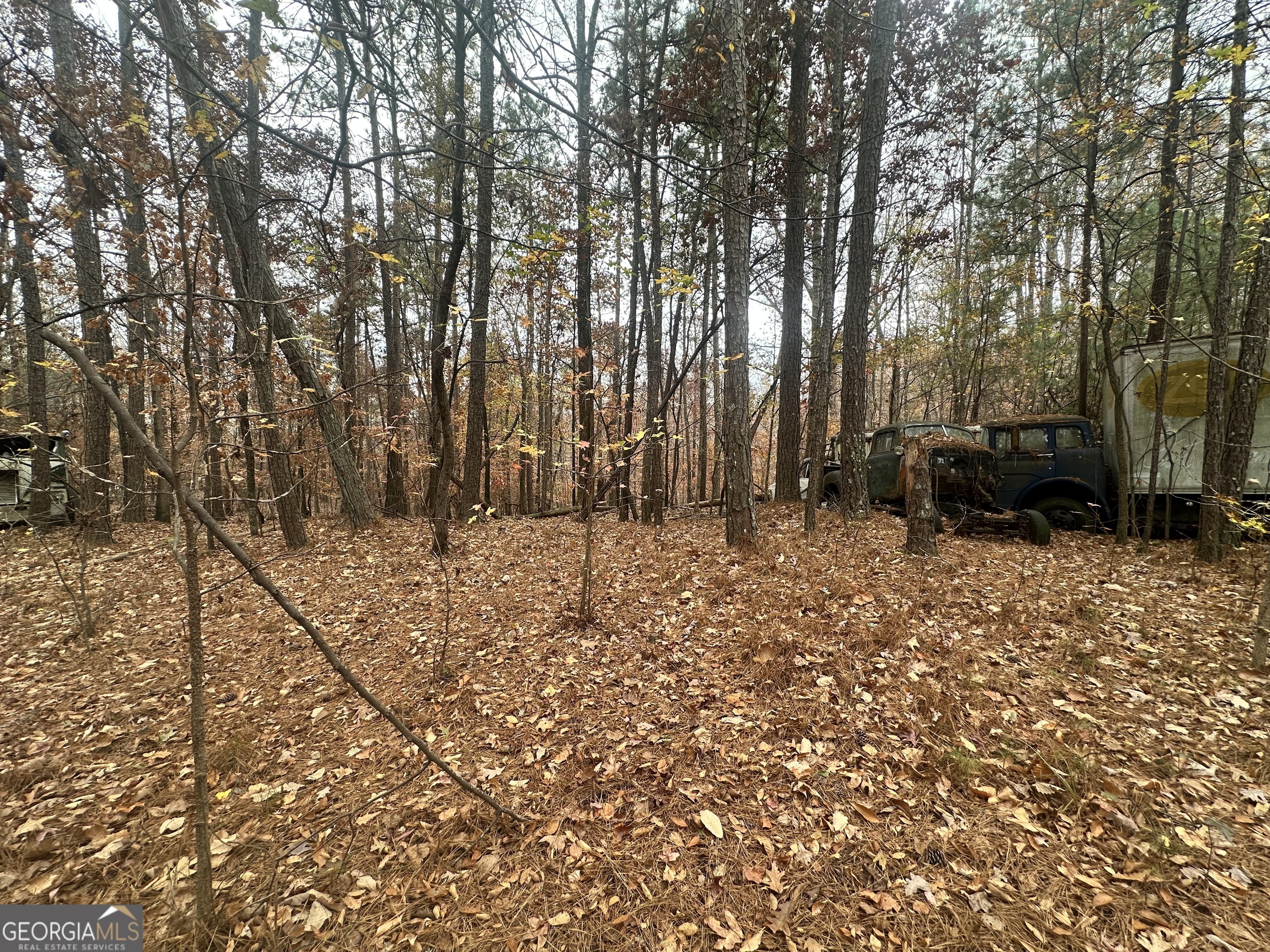 4947 Cash Road Flowery Branch, GA 30542 - Photo 7 of 8 a backyard of a house with lots of green space