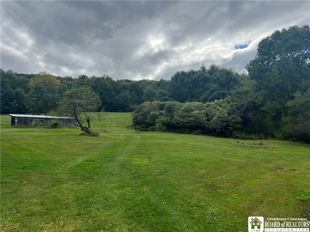 241 West Carroll Road Portville, NY 14770 - Photo 3 of 19