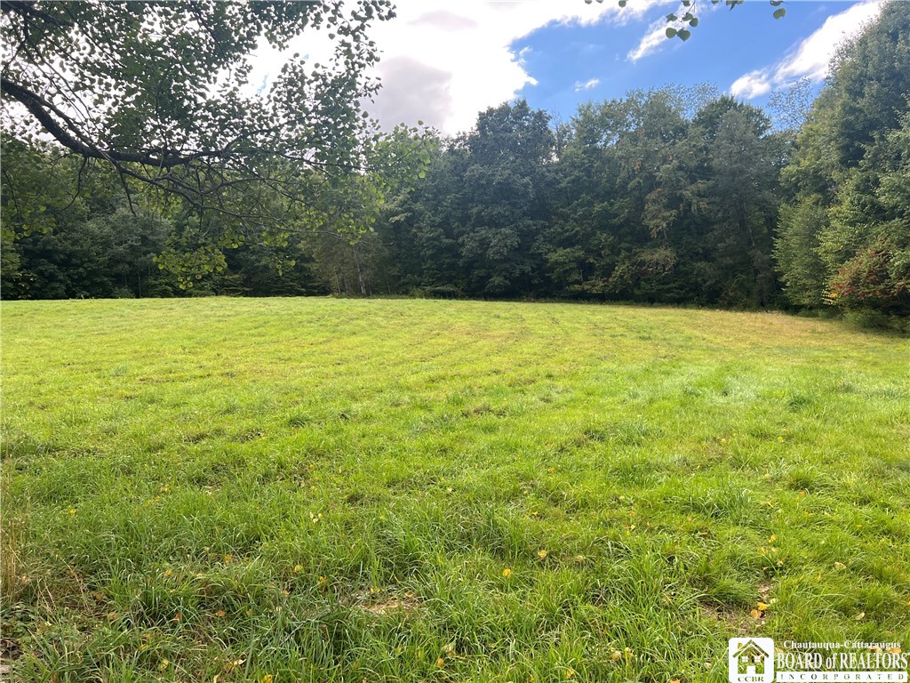 241 West Carroll Road Portville, NY 14770 - Photo 9 of 19