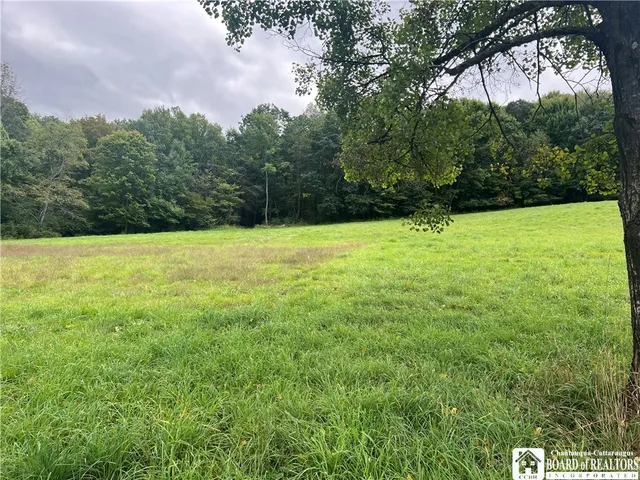 $115,000 | 241 West Carroll Road, Portville, NY 14770