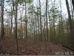 Lot# 3 California House Road Reader, WV 26167 - Photo 3 of 9 Gallery Image 3