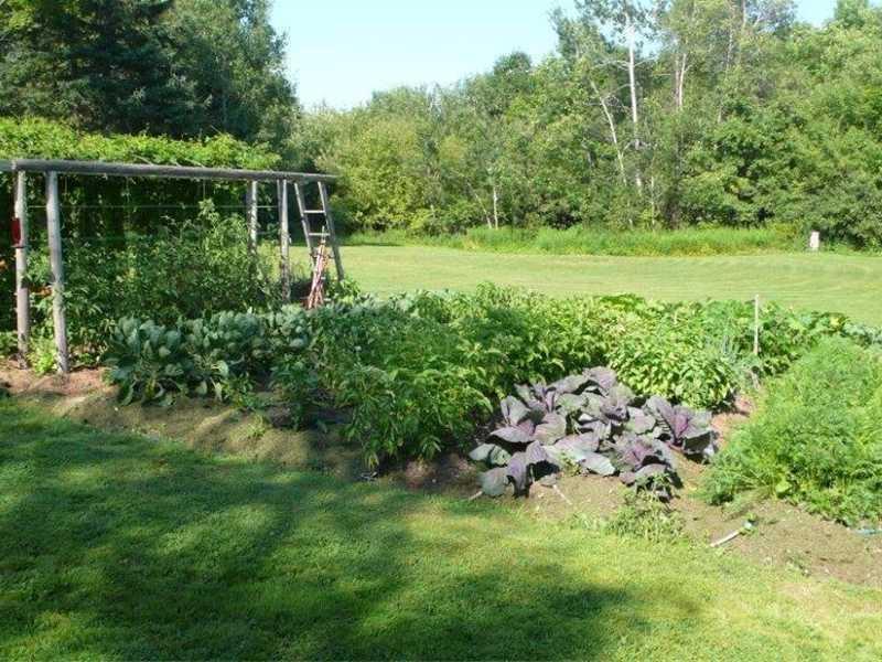 1006 May Street Bangor, ME 04401 - Photo 17 of 21 Yard/Garden.