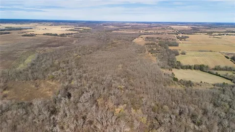 a view of a dry yard with trees in the background
