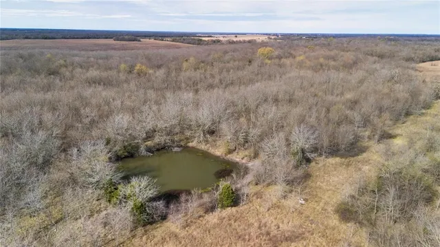 a view of a dry yard with wooden floor and fence