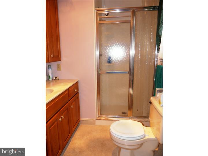 3018 Taft Road Norristown, PA 19403 - Photo 12 of 19 Master Bathroom