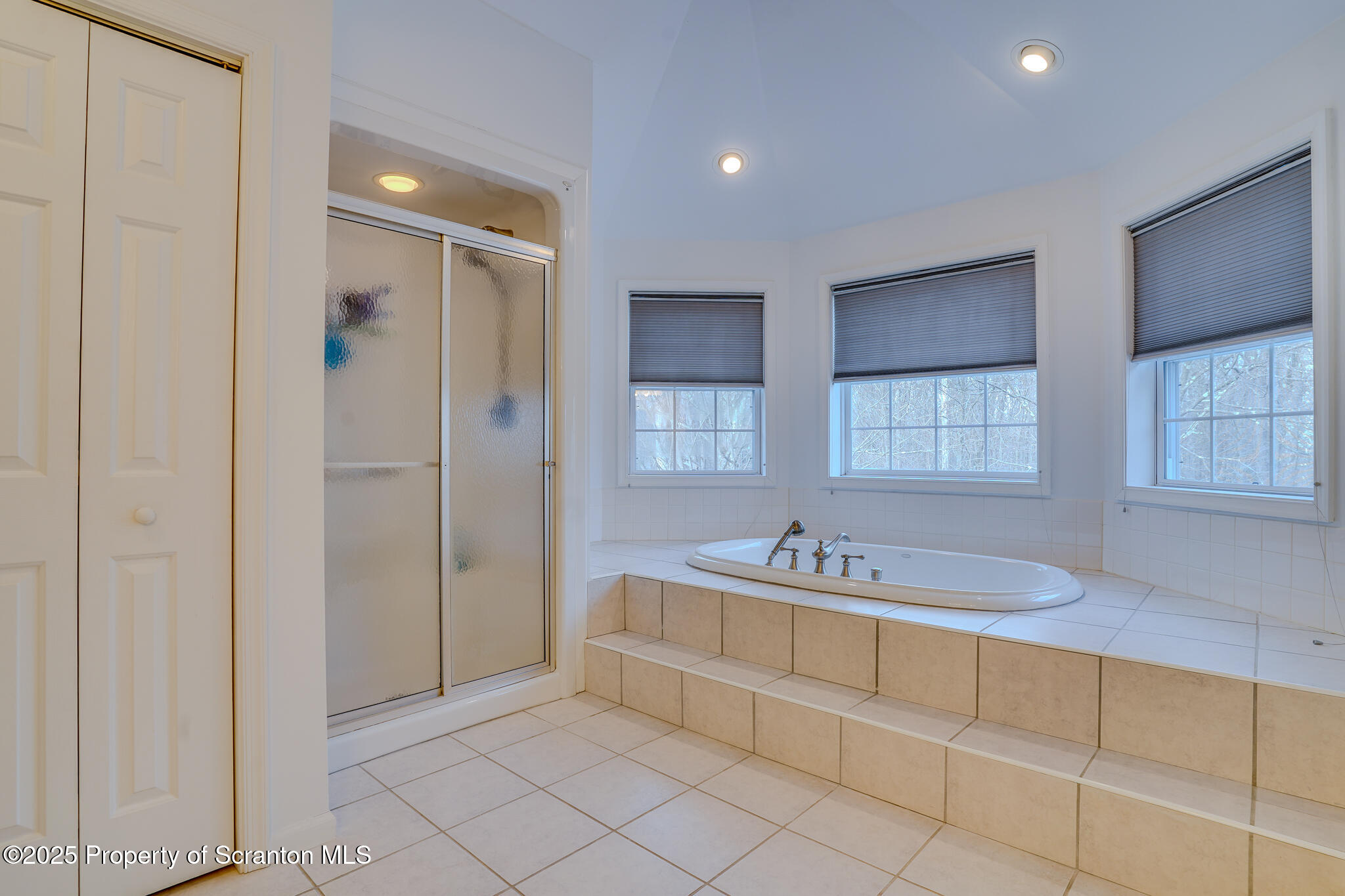 106 Constitution Drive Moscow, PA 18444 - Photo 63 of 119 Primary Bathroom