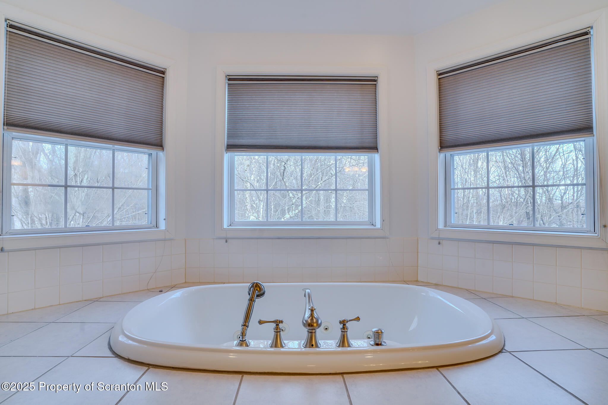 106 Constitution Drive Moscow, PA 18444 - Photo 64 of 119 Primary Bathroom