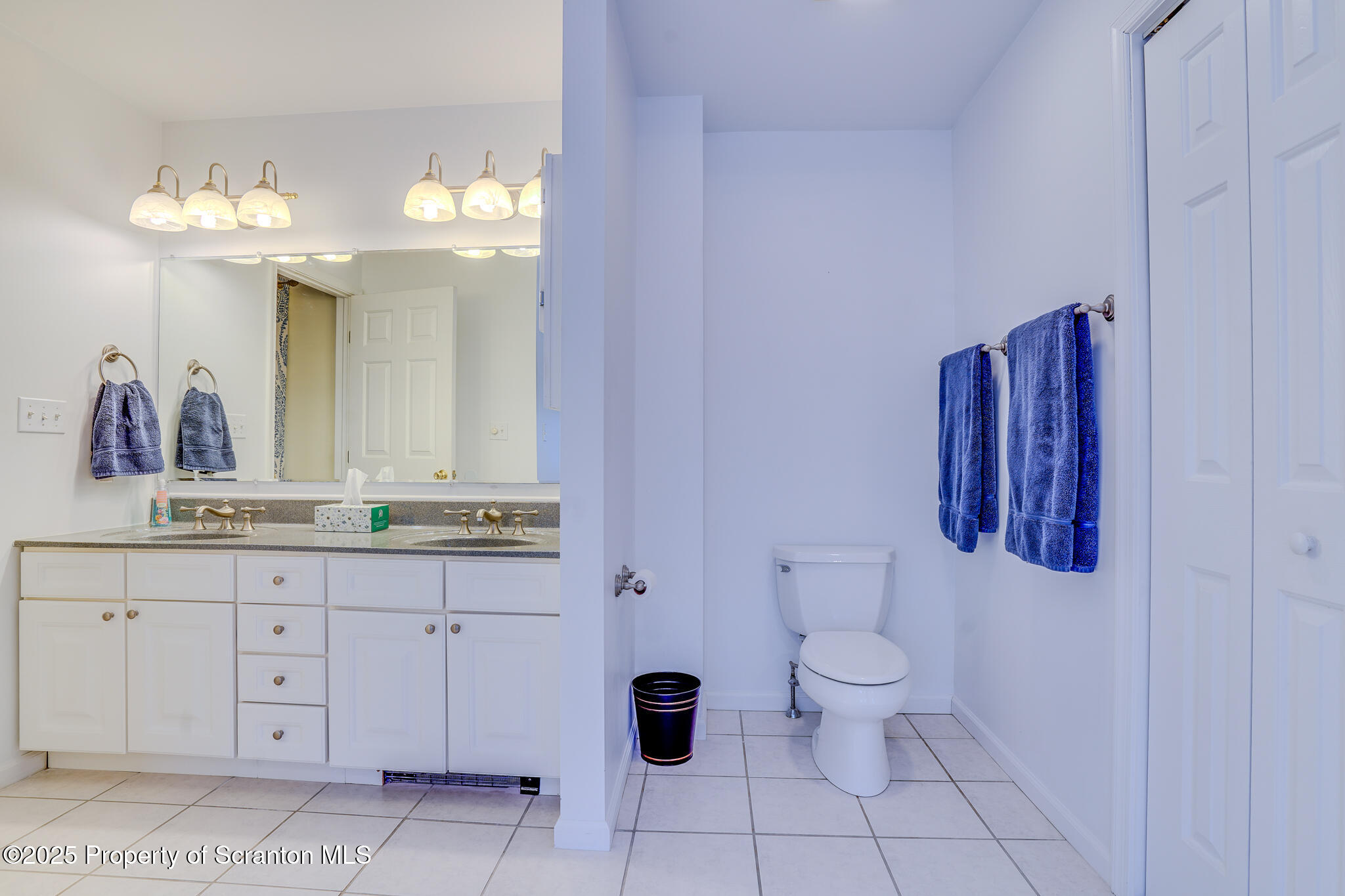 106 Constitution Drive Moscow, PA 18444 - Photo 65 of 119 Primary Bathroom