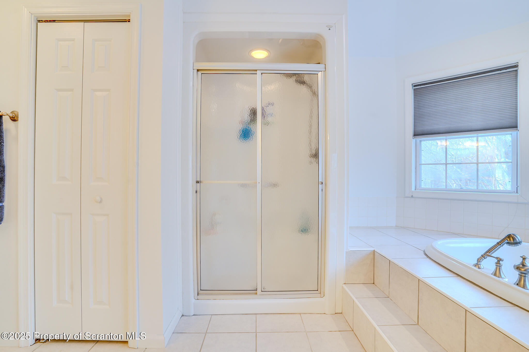 106 Constitution Drive Moscow, PA 18444 - Photo 66 of 119 Primary Bathroom