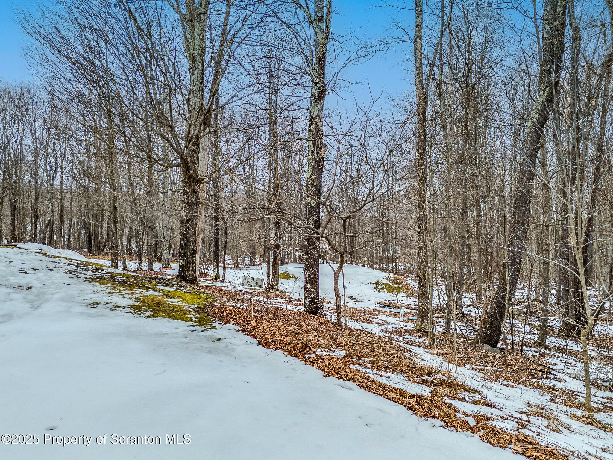 106 Constitution Drive Moscow, PA 18444 - Photo 93 of 119 lot