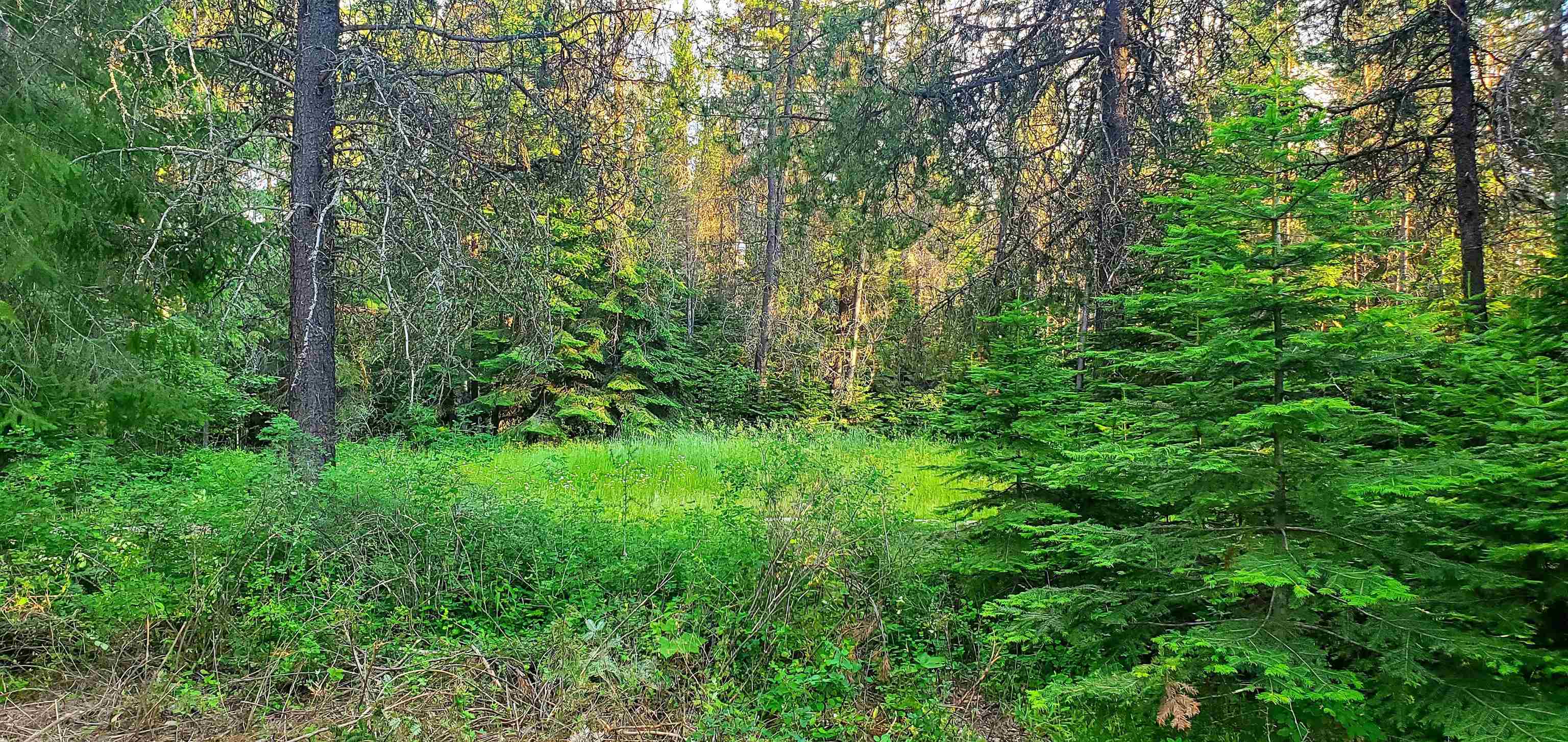 1121 Graham Road Cusick, WA 99119 - Photo 12 of 12