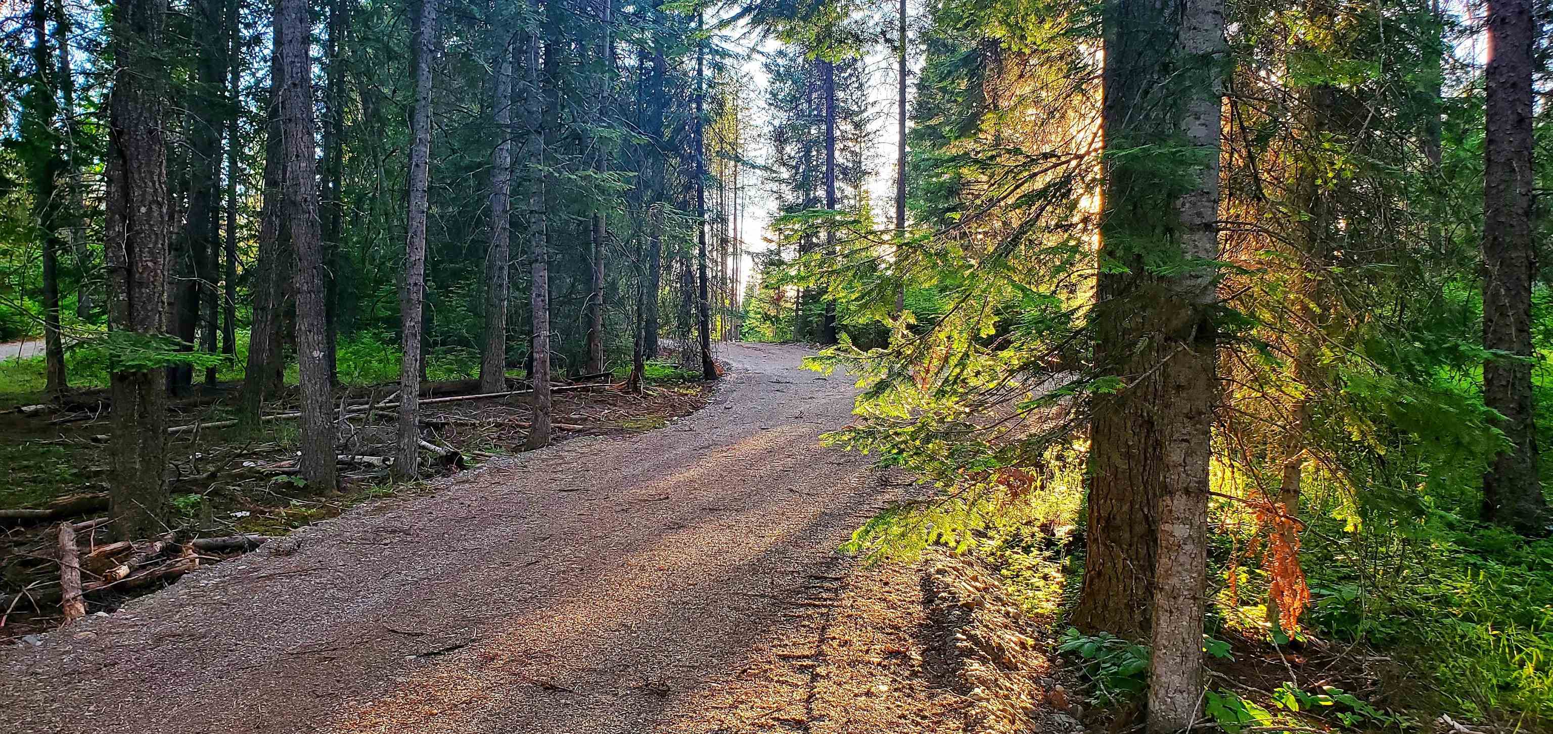 1121 Graham Road Cusick, WA 99119 - Photo 7 of 12