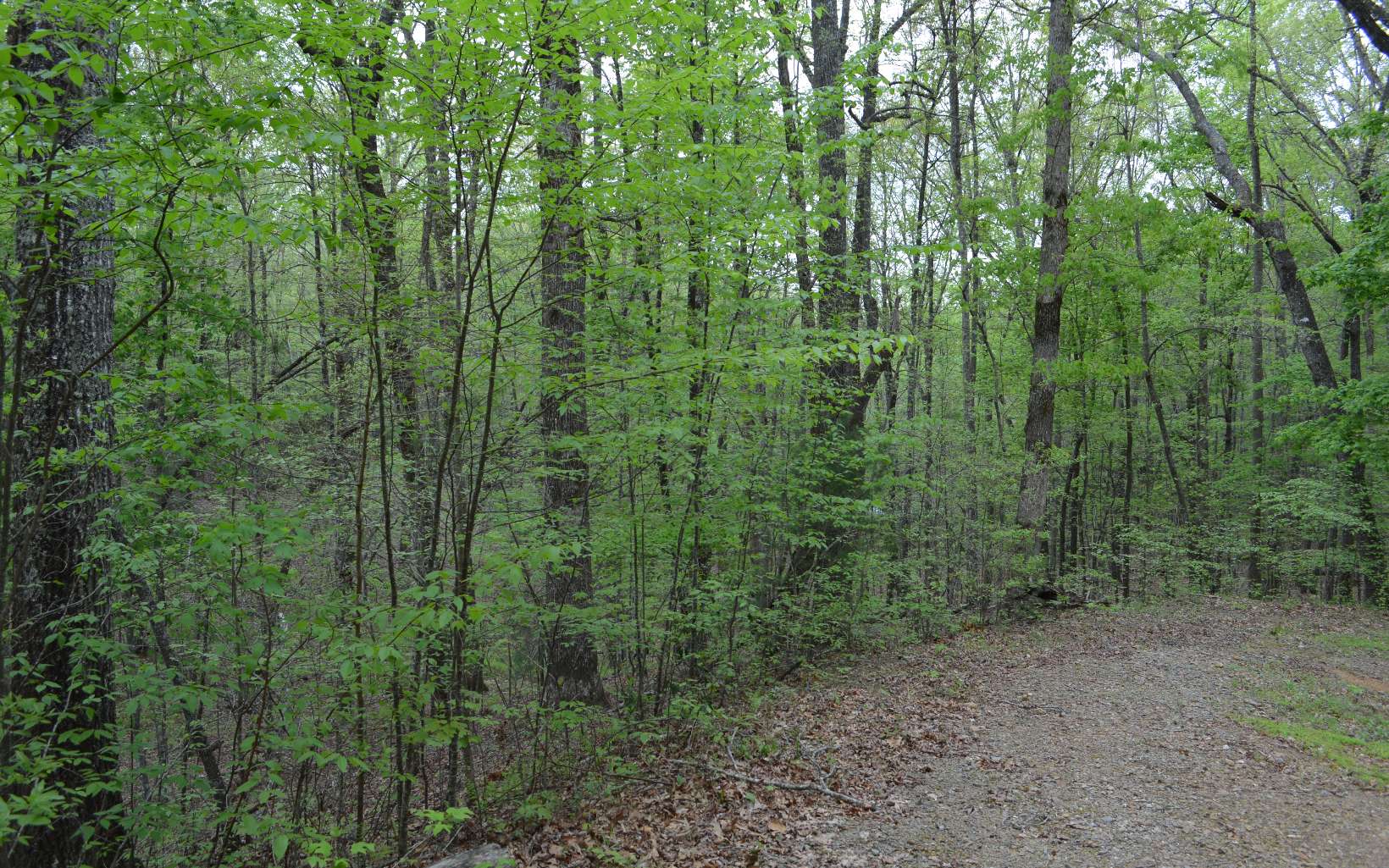 Lot 12 North Ridge Trail Brasstown, NC 28902 - Photo 5 of 11 Additional View