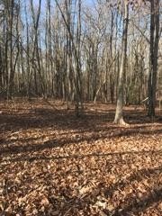 245 Young Road Soddy Daisy, TN 37379 - Photo 3 of 12 Gallery Image 3