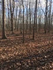 245 Young Road Soddy Daisy, TN 37379 - Photo 6 of 12 Gallery Image 6